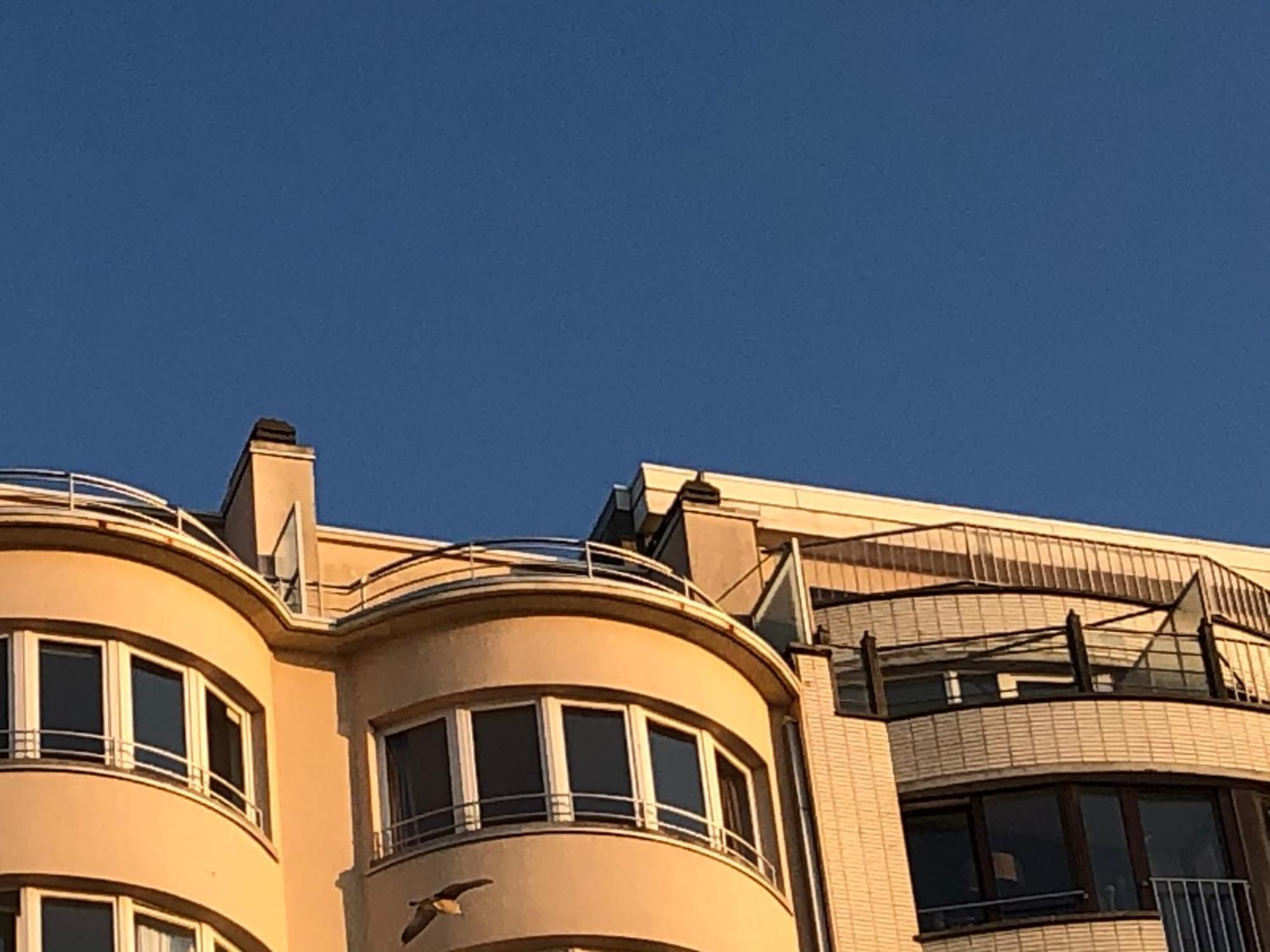 Appartement El Mirador Penthouse Paris à Ostende Extérieur photo